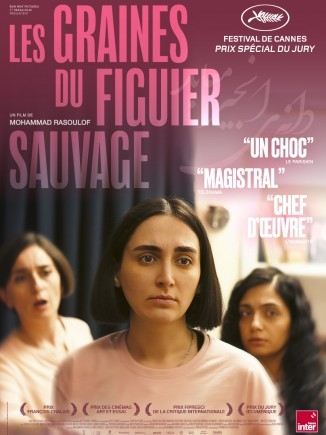 les graines du figuier sauvage,mohammad rasoulof,cinéma,misagh zare,soheila golestani,mahsa rostami,setareh maleki